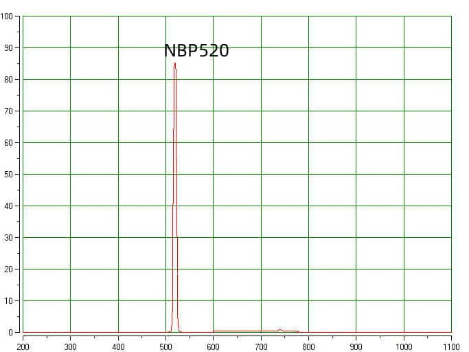 03 NBP520nm narrow bandpass filter.jpg