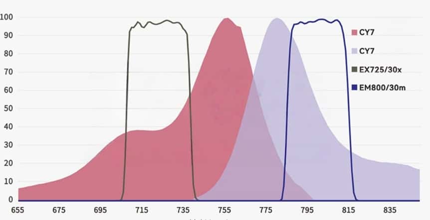 CY7 Channel Fluorescence Analysis Filter .jpg